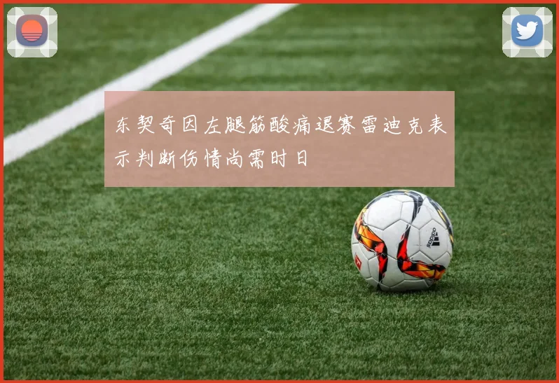 东契奇因左腿筋酸痛退赛雷迪克表示判断伤情尚需时日