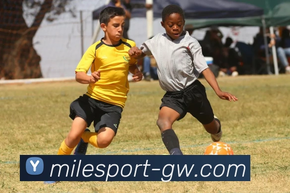 米乐体育品牌故事