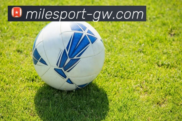 米乐体育服务体系